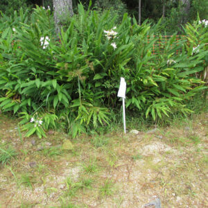 Drenagem 01 - Março - 2