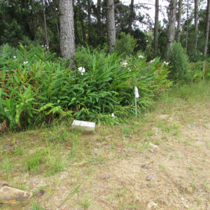 Drenagem 01 - Março - 3