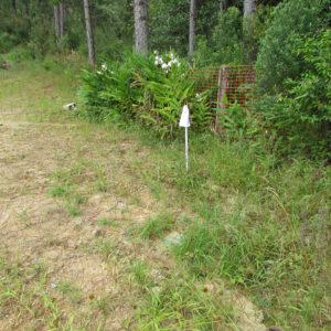 Drenagem 01 - Março - 4