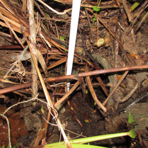 Drenagem 01 - Março - 6